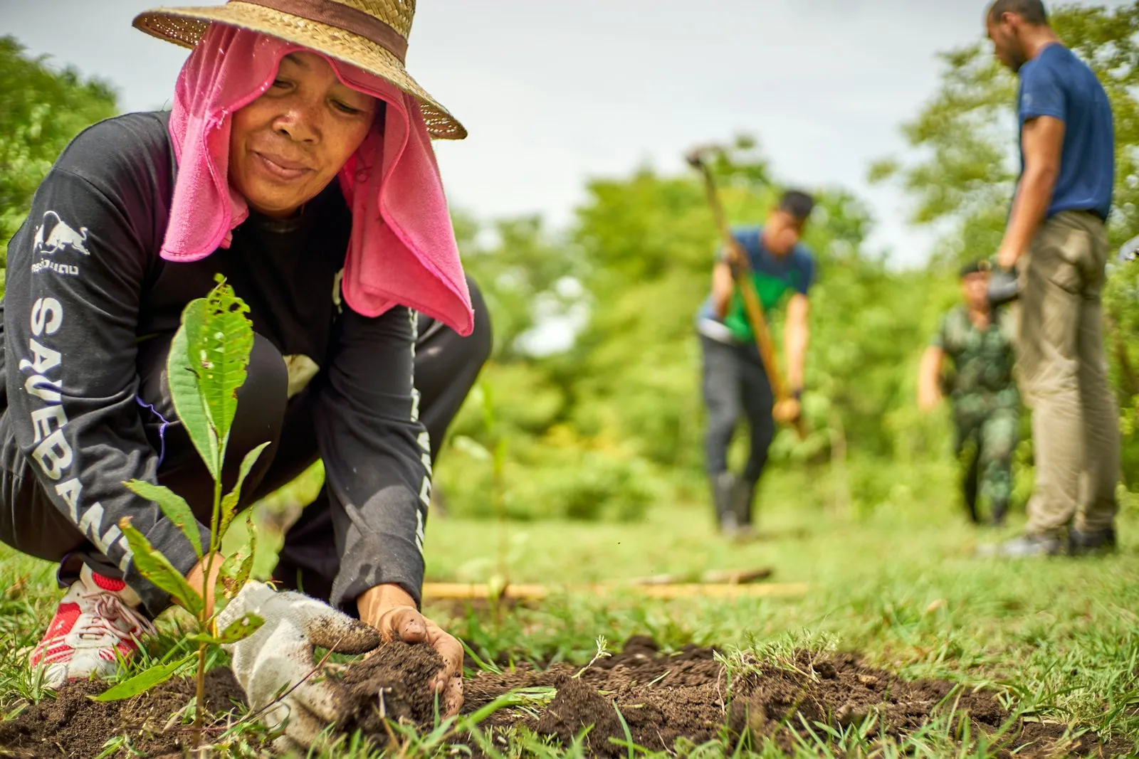 A woman planting a sapling as part of a community tree-planting effort
